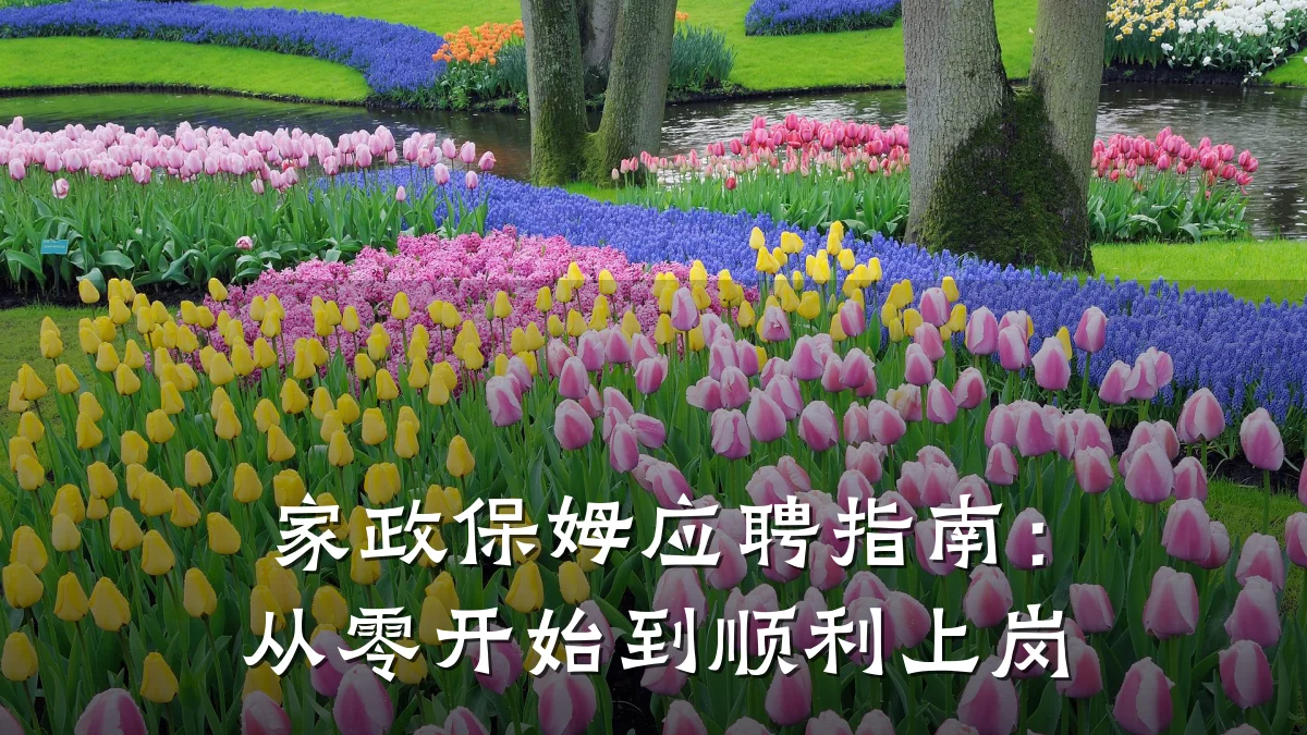 家政保姆应聘指南:从零开始到顺利上岗