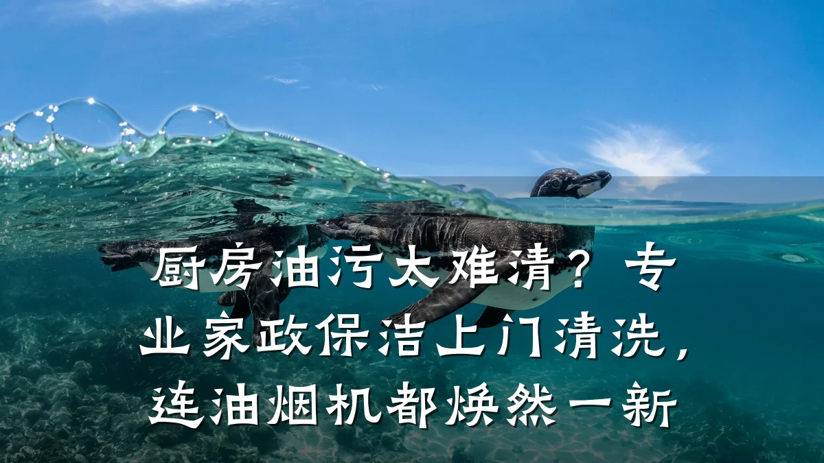 厨房油污太难清?专业家政保洁上门清洗,连油烟机都焕然一新