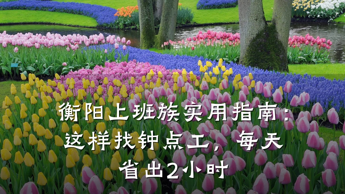 衡阳上班族实用指南：这样找钟点工，每天省出2小时