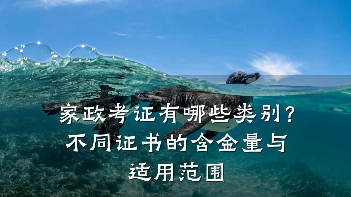 家政考证有哪些类别？不同证书的含金量与适用范围