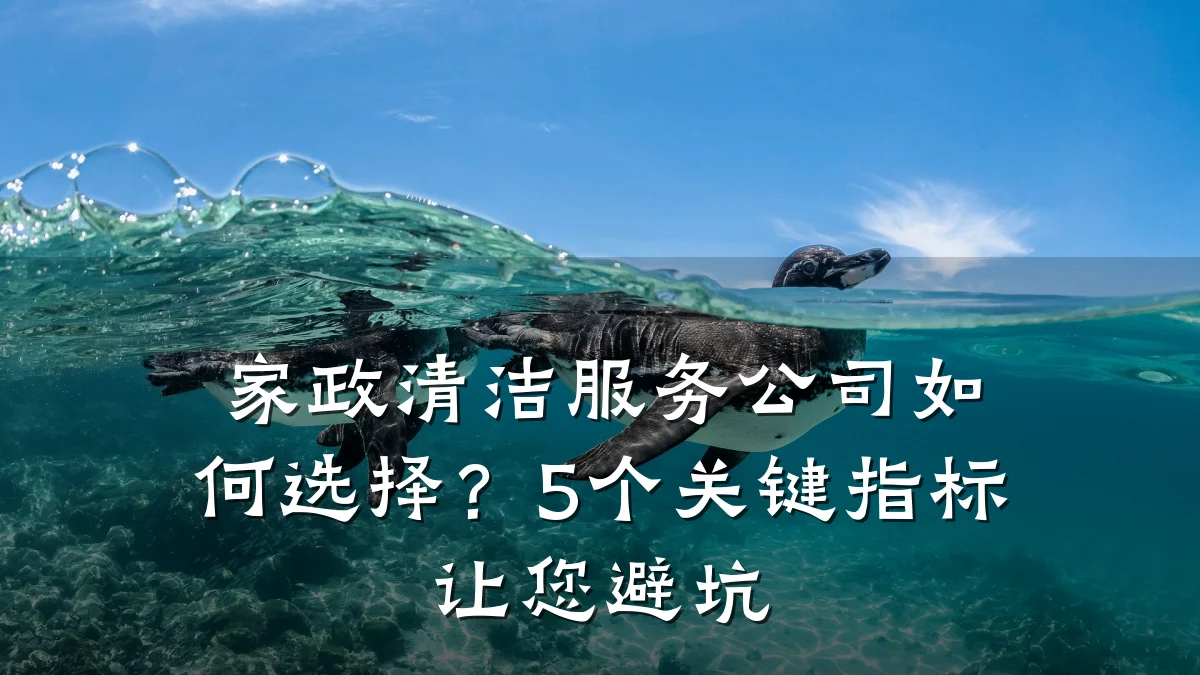 家政清洁服务公司如何选择？5个关键指标让您避坑