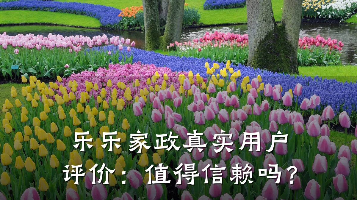 乐乐家政真实用户评价：值得信赖吗？