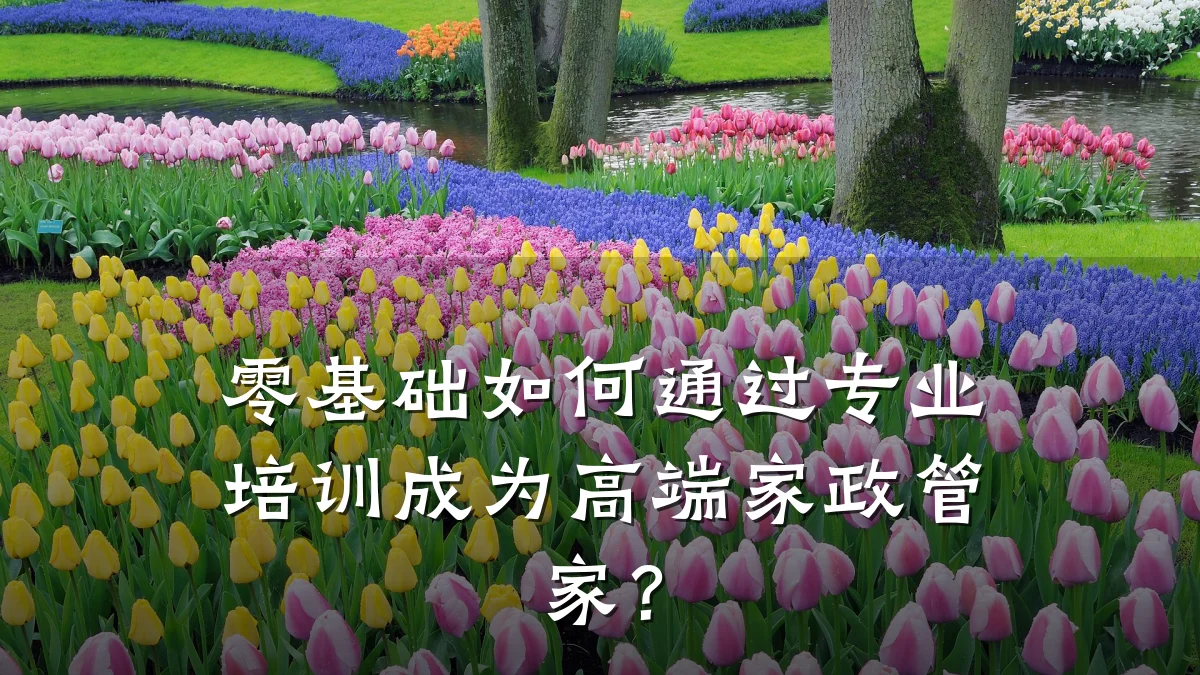 零基础如何通过专业培训成为高端家政管家？