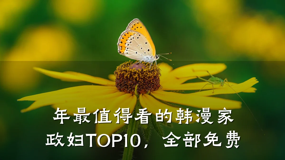 年最值得看的韩漫家政妇TOP10,全部免费