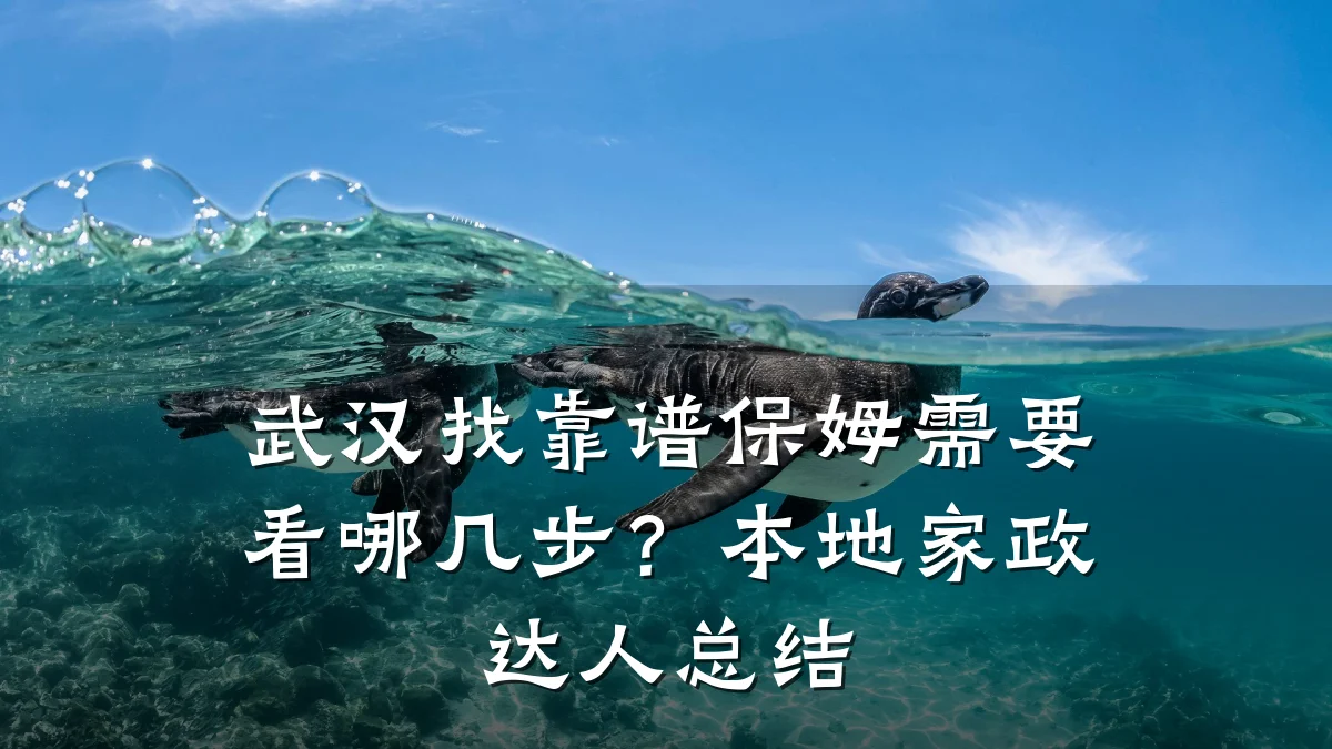 武汉找靠谱保姆需要看哪几步？本地家政达人总结