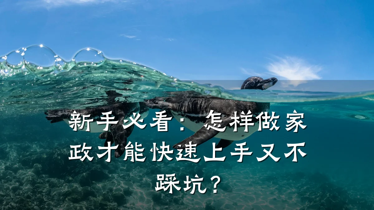 新手必看:怎样做家政才能快速上手又不踩坑?