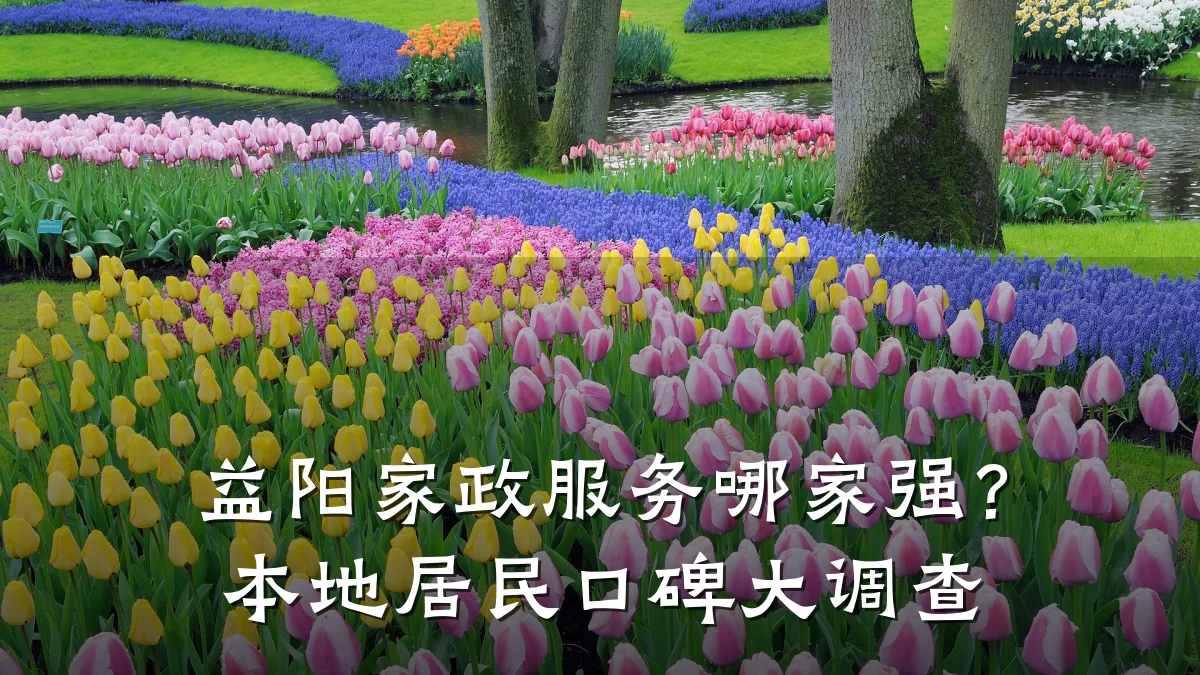 益阳家政服务哪家强？本地居民口碑大调查