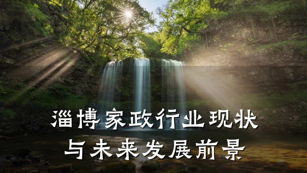 淄博家政行业现状与未来发展前景