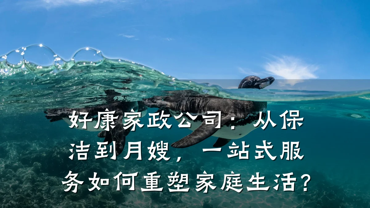 好康家政公司：从保洁到月嫂，一站式服务如何重塑家庭生活？