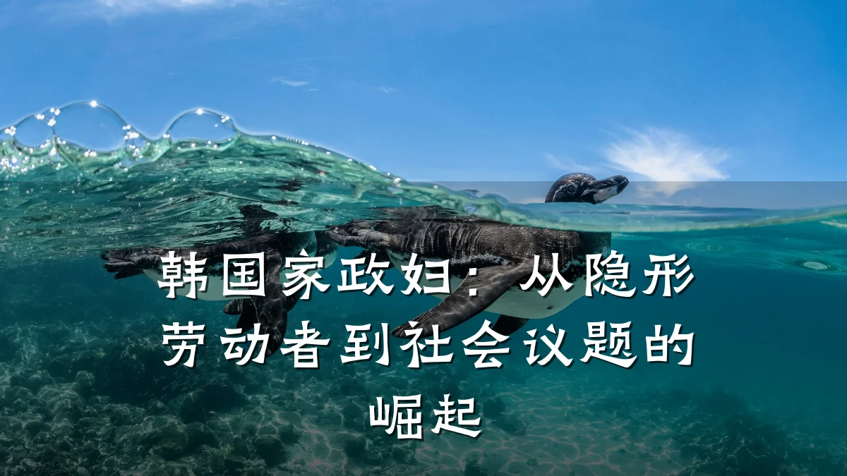 韩国家政妇:从隐形劳动者到社会议题的崛起