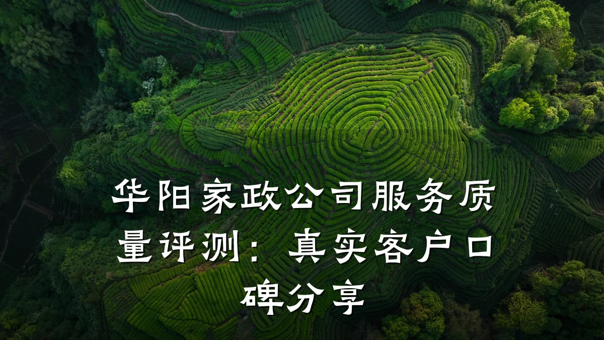 华阳家政公司服务质量评测:真实客户口碑分享