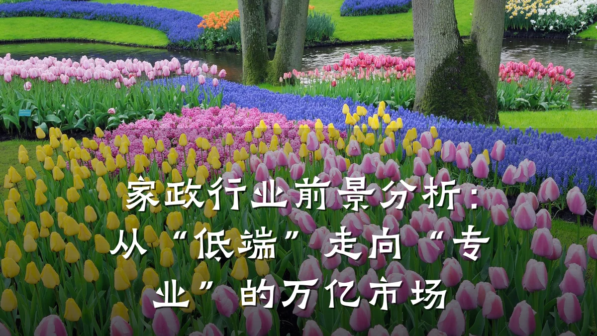 家政行业前景分析：从“低端”走向“专业”的万亿市场