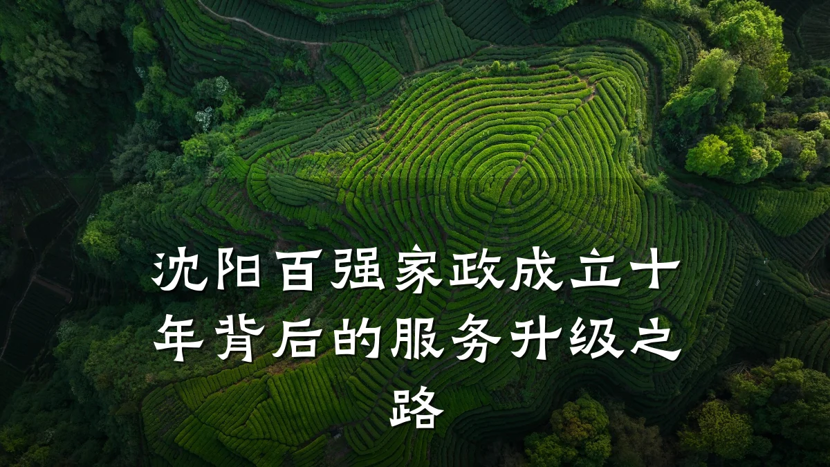 沈阳百强家政成立十年背后的服务升级之路