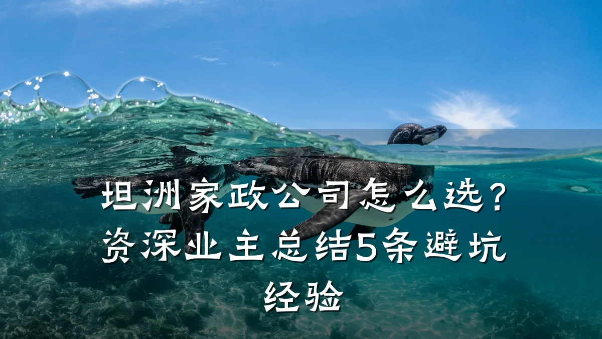 坦洲家政公司怎么选?资深业主总结5条避坑经验