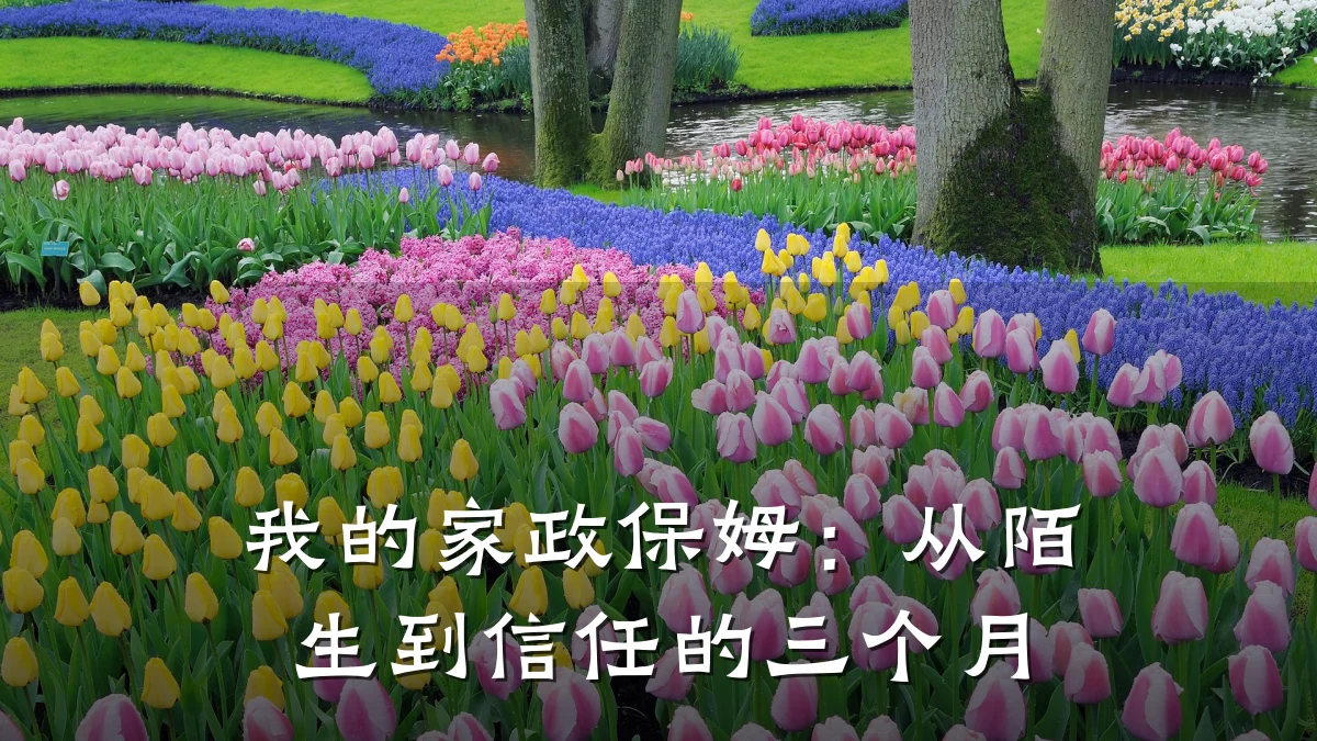 我的家政保姆：从陌生到信任的三个月