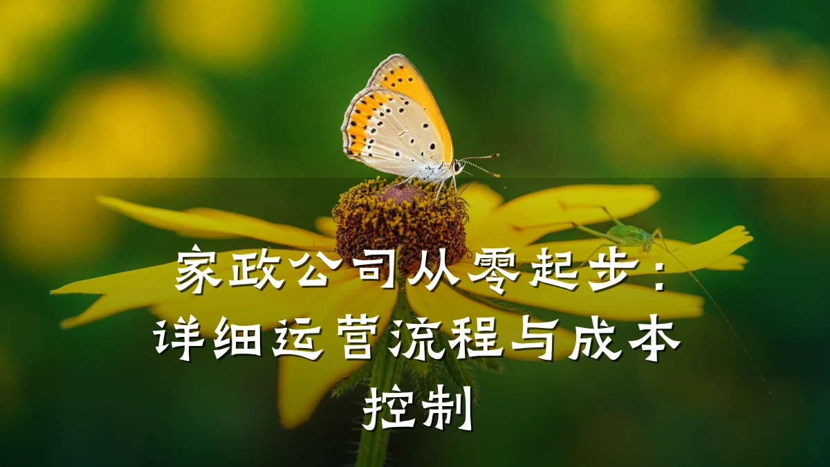 家政公司从零起步：详细运营流程与成本控制