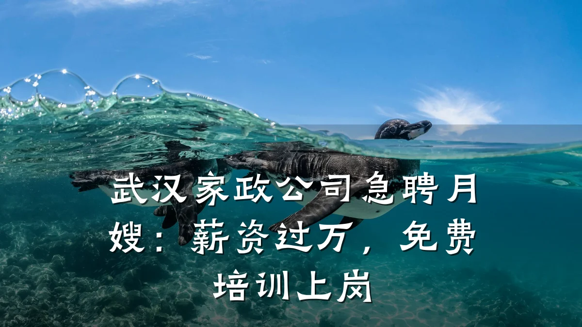 武汉家政公司急聘月嫂:薪资过万,免费培训上岗