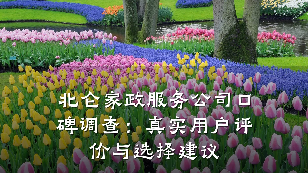 北仑家政服务公司口碑调查：真实用户评价与选择建议