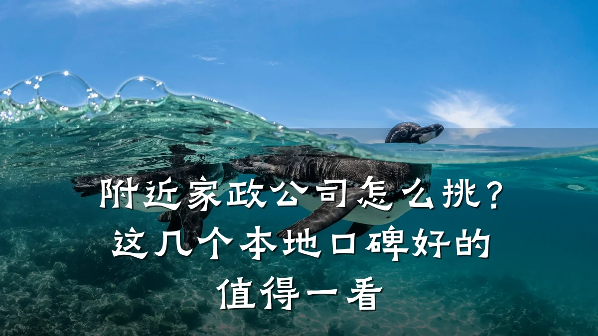 附近家政公司怎么挑?这几个本地口碑好的值得一看