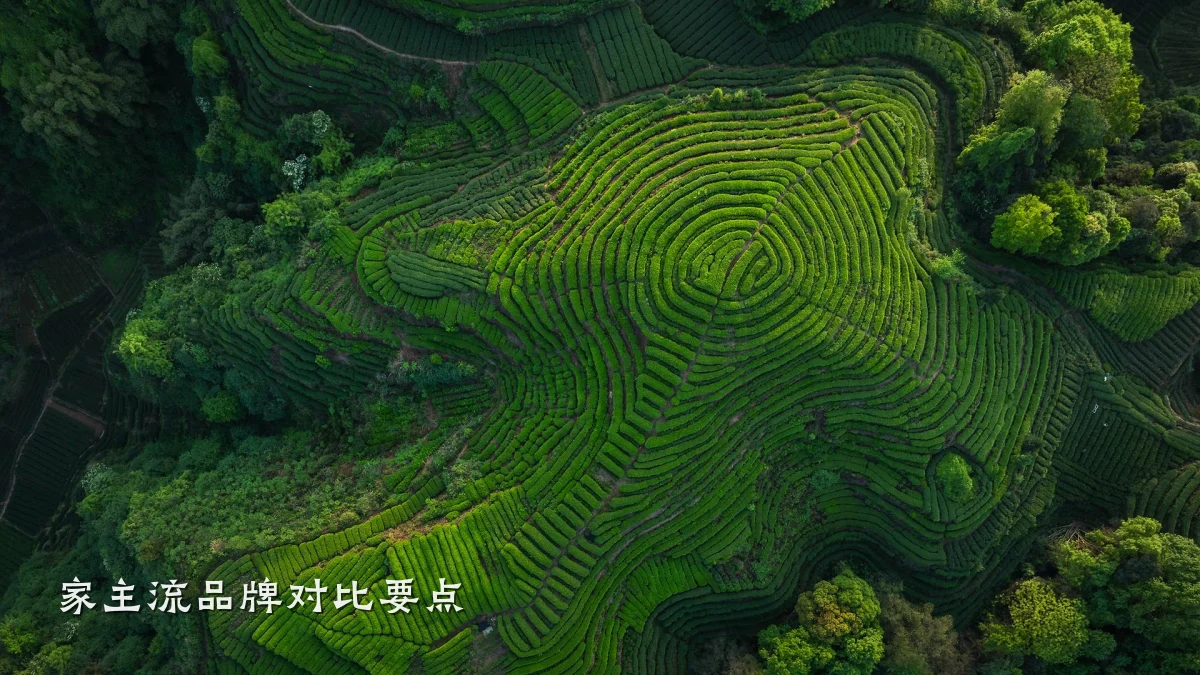 家主流品牌对比要点