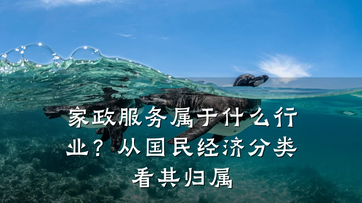 家政服务属于什么行业?从国民经济分类看其归属