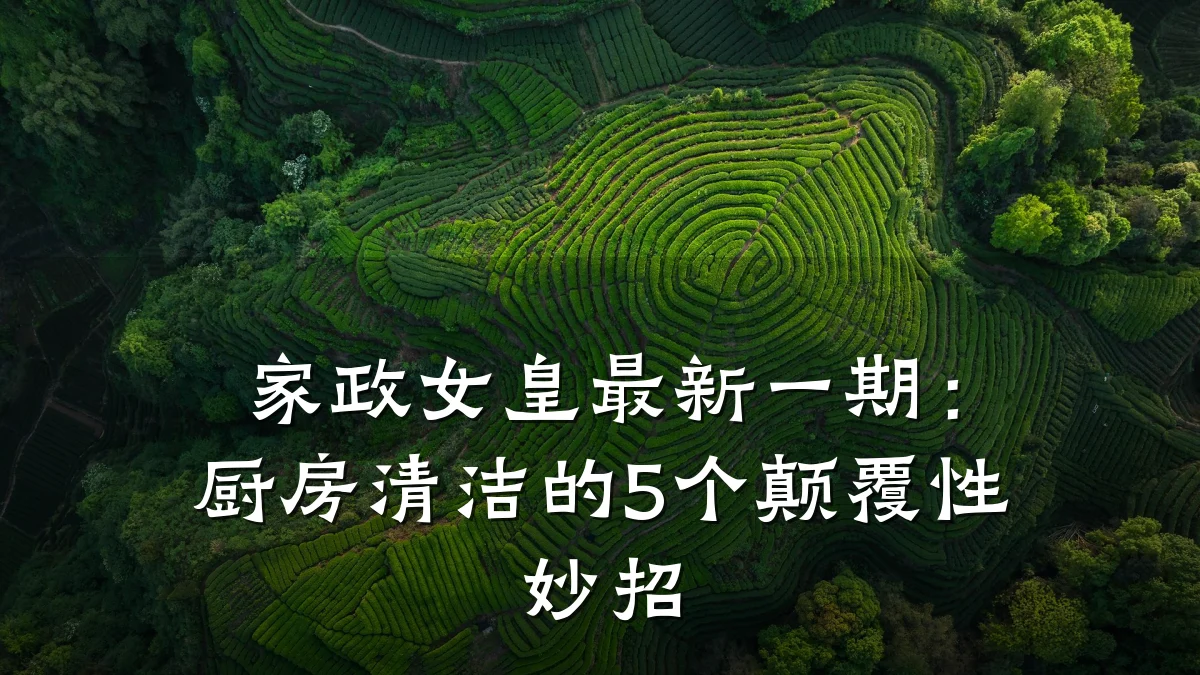 家政女皇最新一期：厨房清洁的5个颠覆性妙招