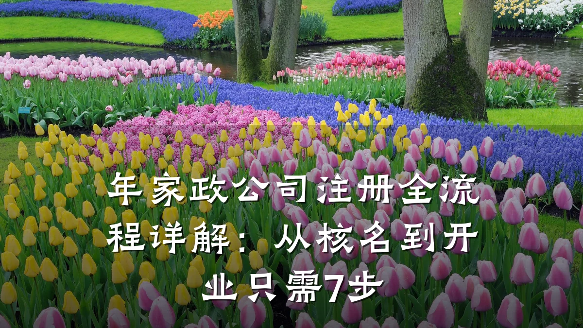 年家政公司注册全流程详解：从核名到开业只需7步