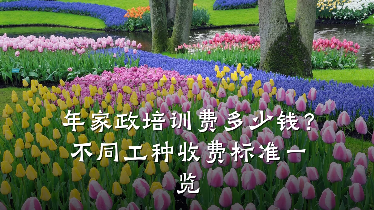 年家政培训费多少钱？不同工种收费标准一览