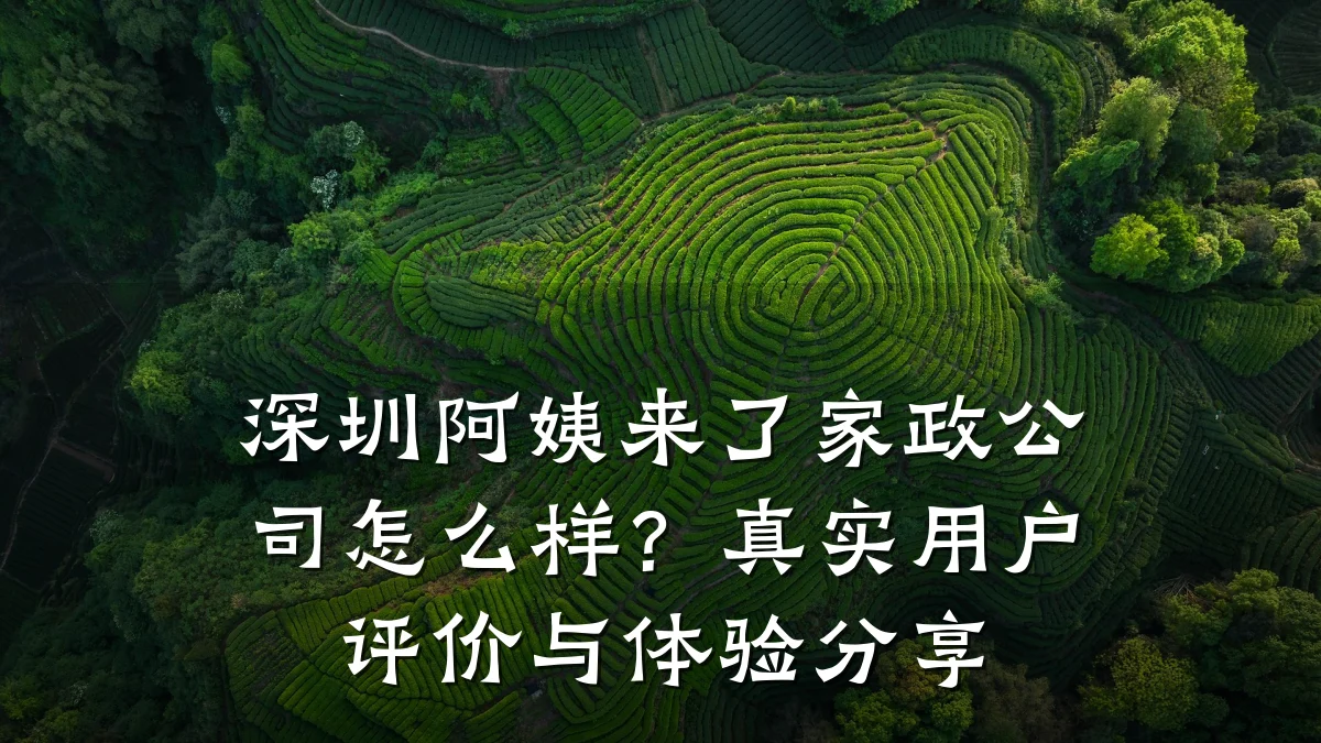 深圳阿姨来了家政公司怎么样？真实用户评价与体验分享