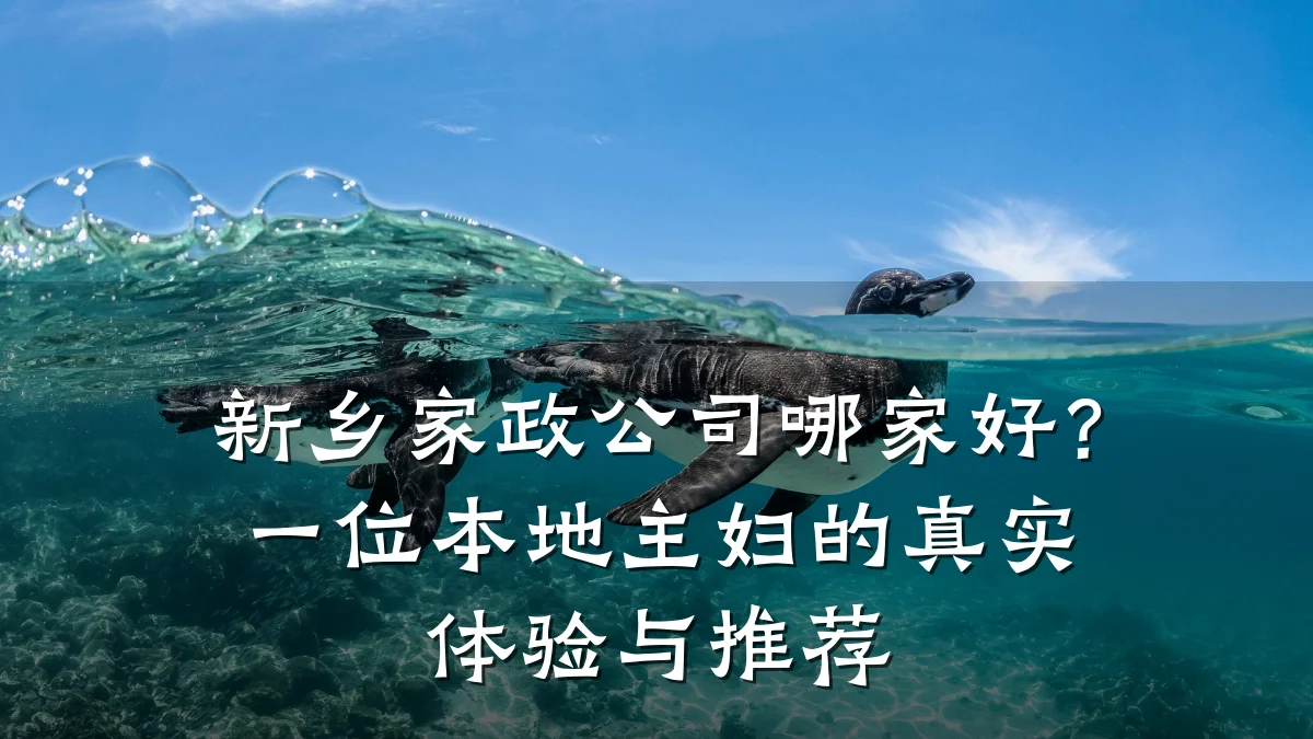 新乡家政公司哪家好?一位本地主妇的真实体验与推荐