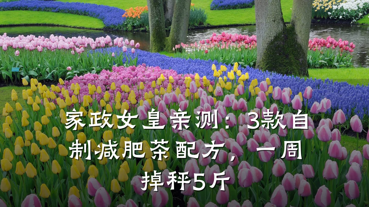 家政女皇亲测：3款自制减肥茶配方，一周掉秤5斤