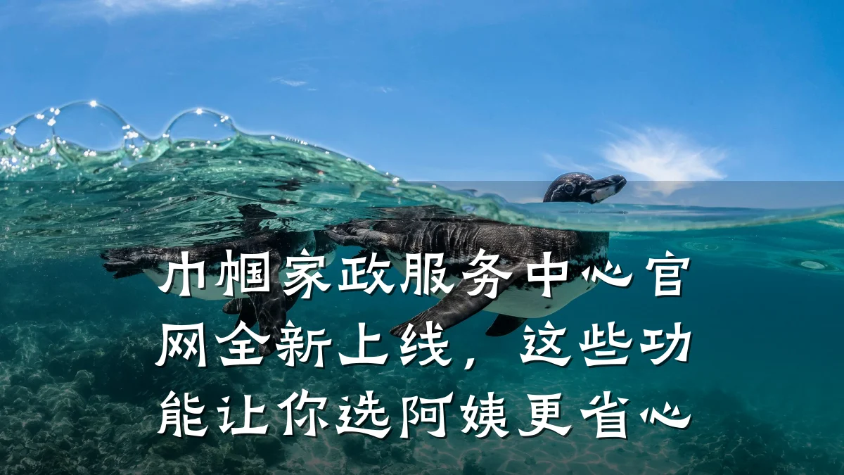 巾帼家政服务中心官网全新上线，这些功能让你选阿姨更省心
