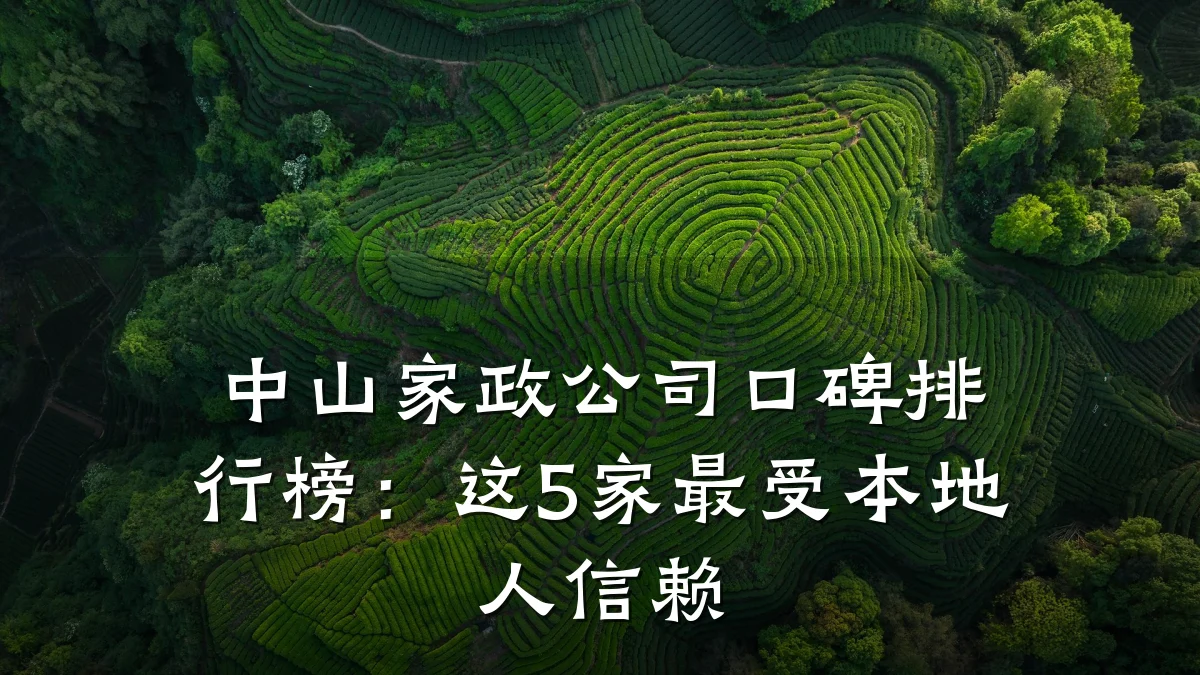 中山家政公司口碑排行榜：这5家最受本地人信赖
