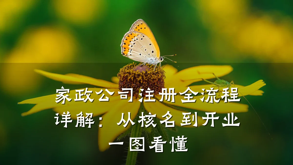 家政公司注册全流程详解：从核名到开业一图看懂