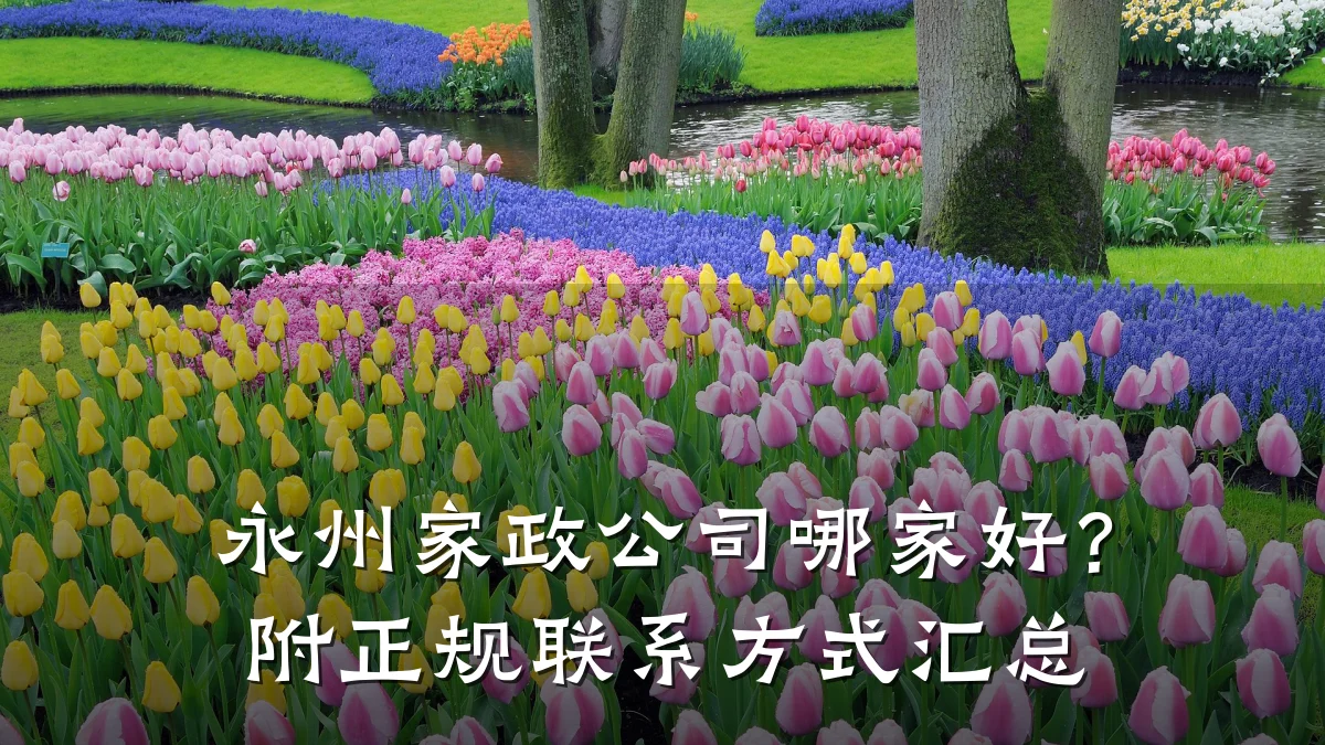 永州家政公司哪家好？附正规联系方式汇总