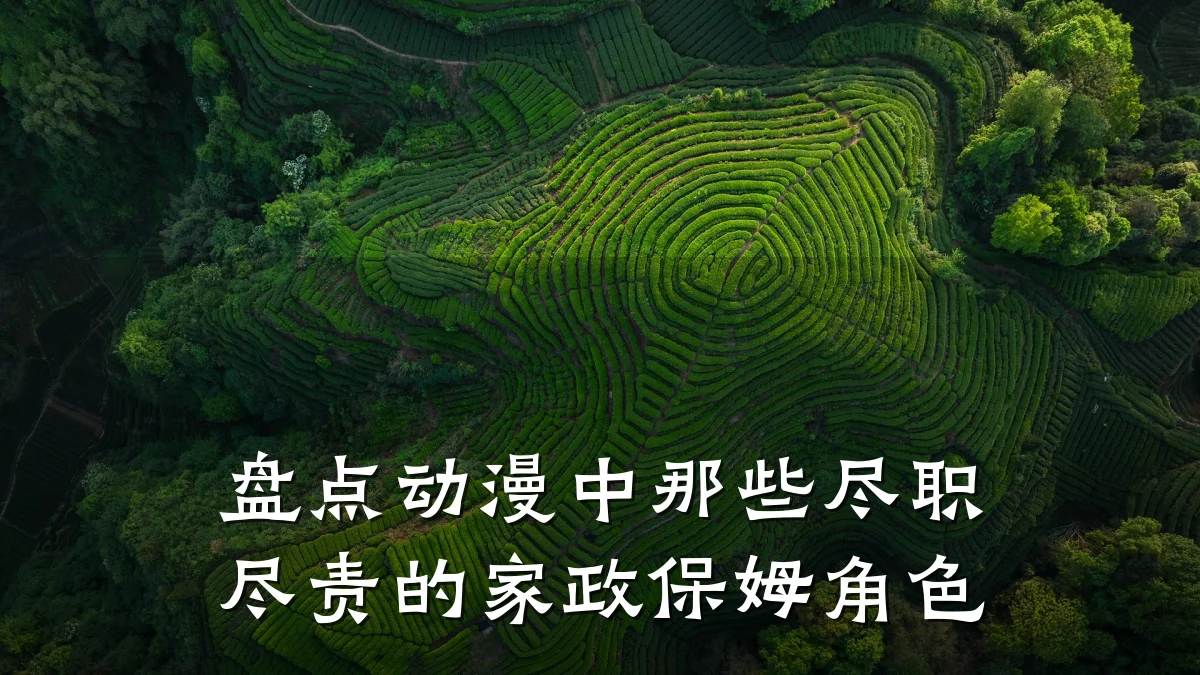 盘点动漫中那些尽职尽责的家政保姆角色