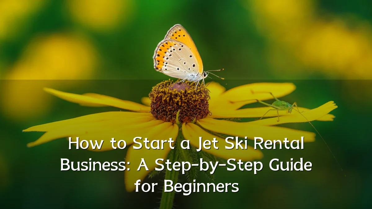 How to Start a Jet Ski Rental Business: A Step-by-Step Guide for Beginners
