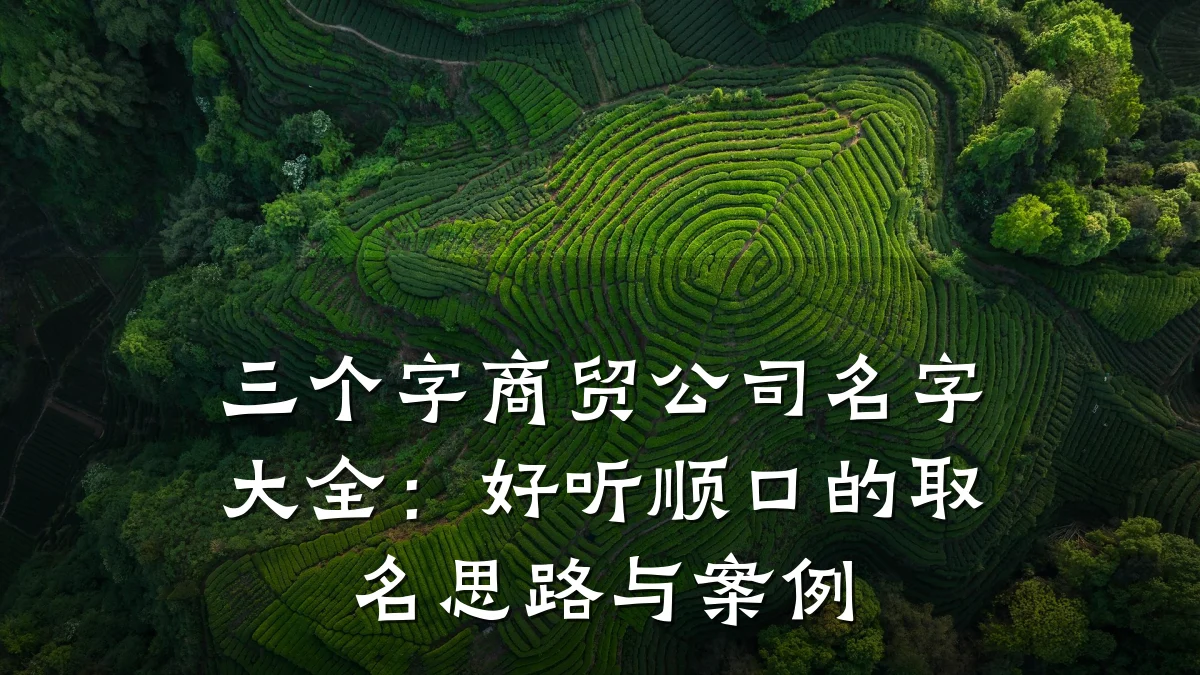 三个字商贸公司名字大全:好听顺口的取名思路与案例