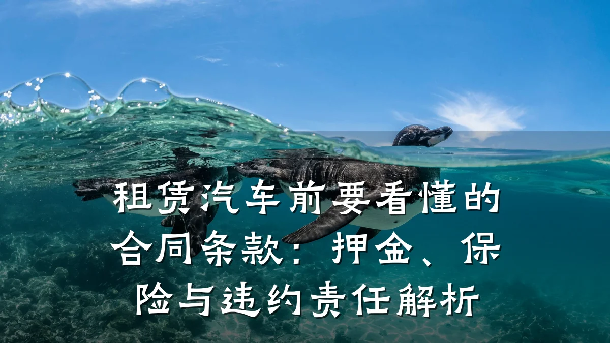租赁汽车前要看懂的合同条款:押金、保险与违约责任解析