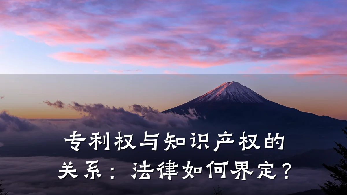 专利权与知识产权的关系:法律如何界定?