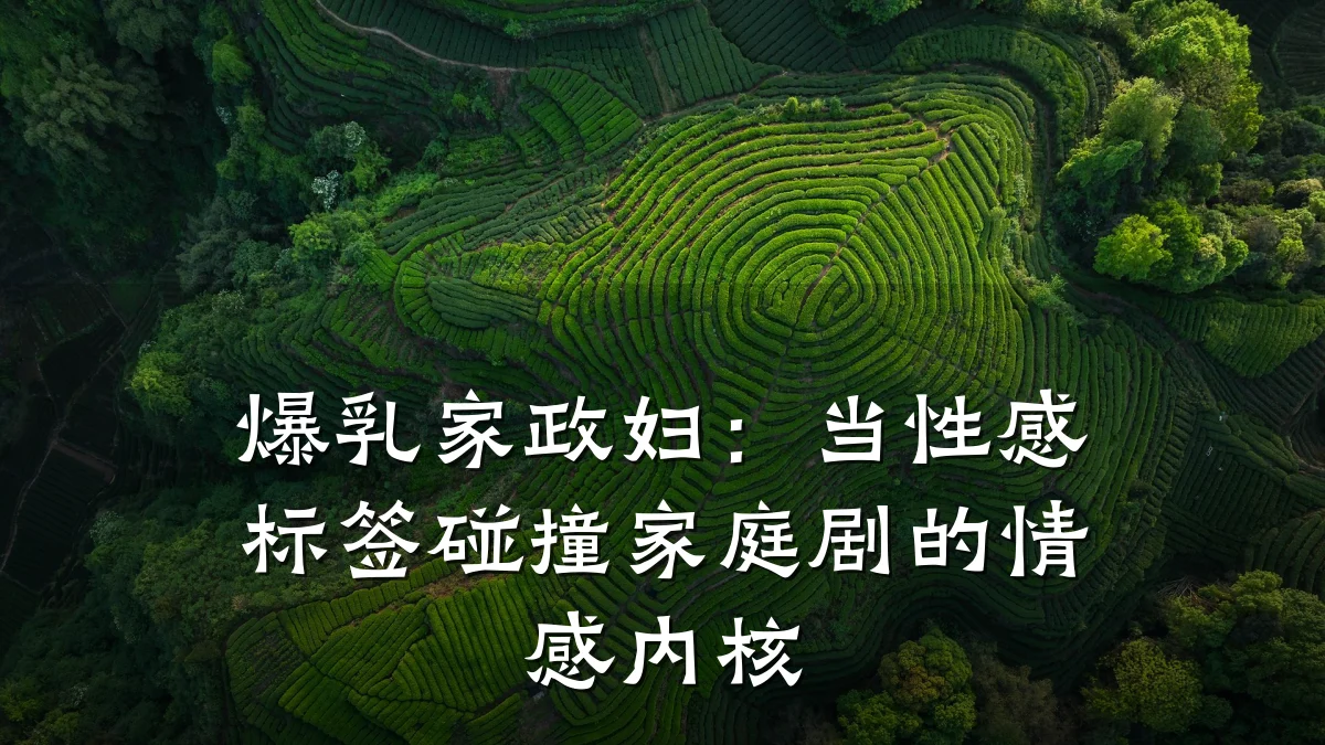 爆乳家政妇:当性感标签碰撞家庭剧的情感内核