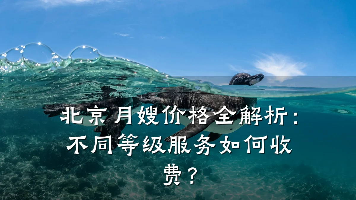 北京月嫂价格全解析:不同等级服务如何收费?