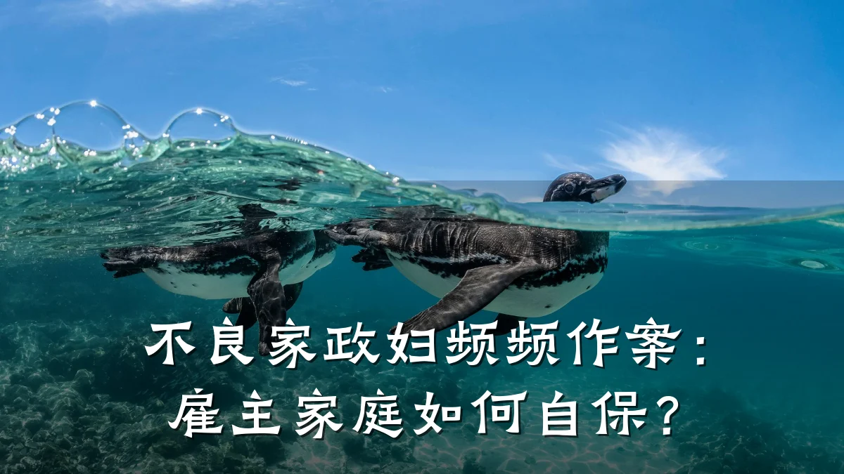 不良家政妇频频作案:雇主家庭如何自保?