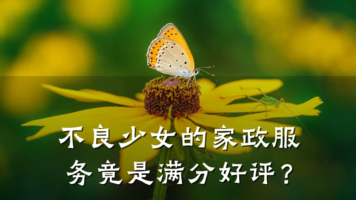 不良少女的家政服务竟是满分好评?