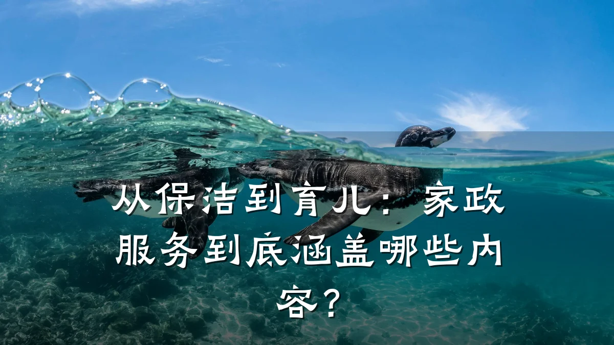 从保洁到育儿：家政服务到底涵盖哪些内容？