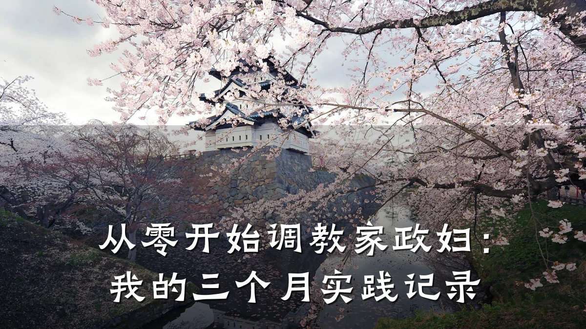 从零开始调教家政妇:我的三个月实践记录