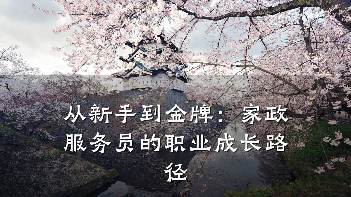 从新手到金牌：家政服务员的职业成长路径