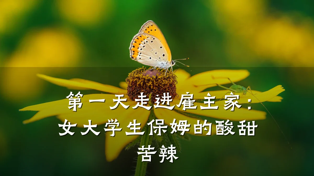 第一天走进雇主家:女大学生保姆的酸甜苦辣