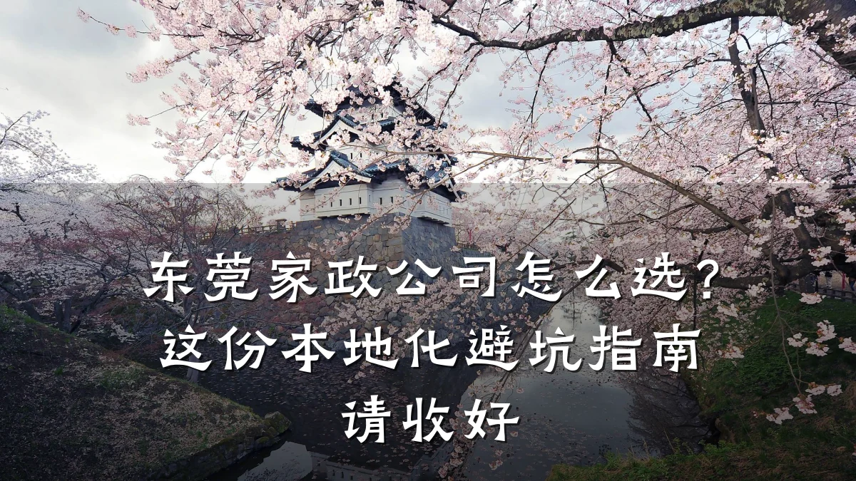 东莞家政公司怎么选?这份本地化避坑指南请收好
