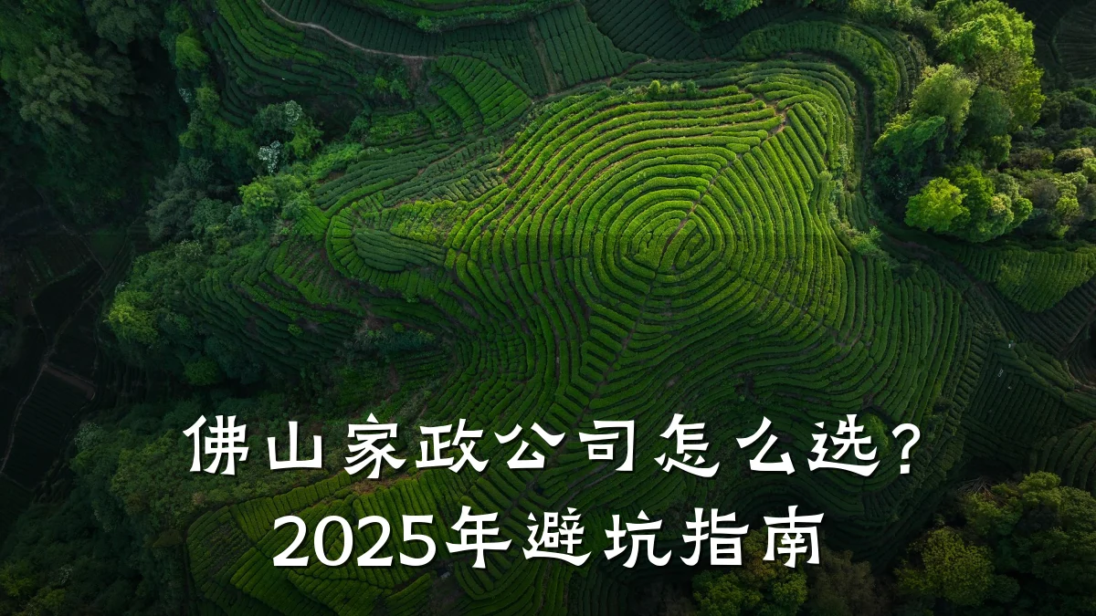 佛山家政公司怎么选？2025年避坑指南